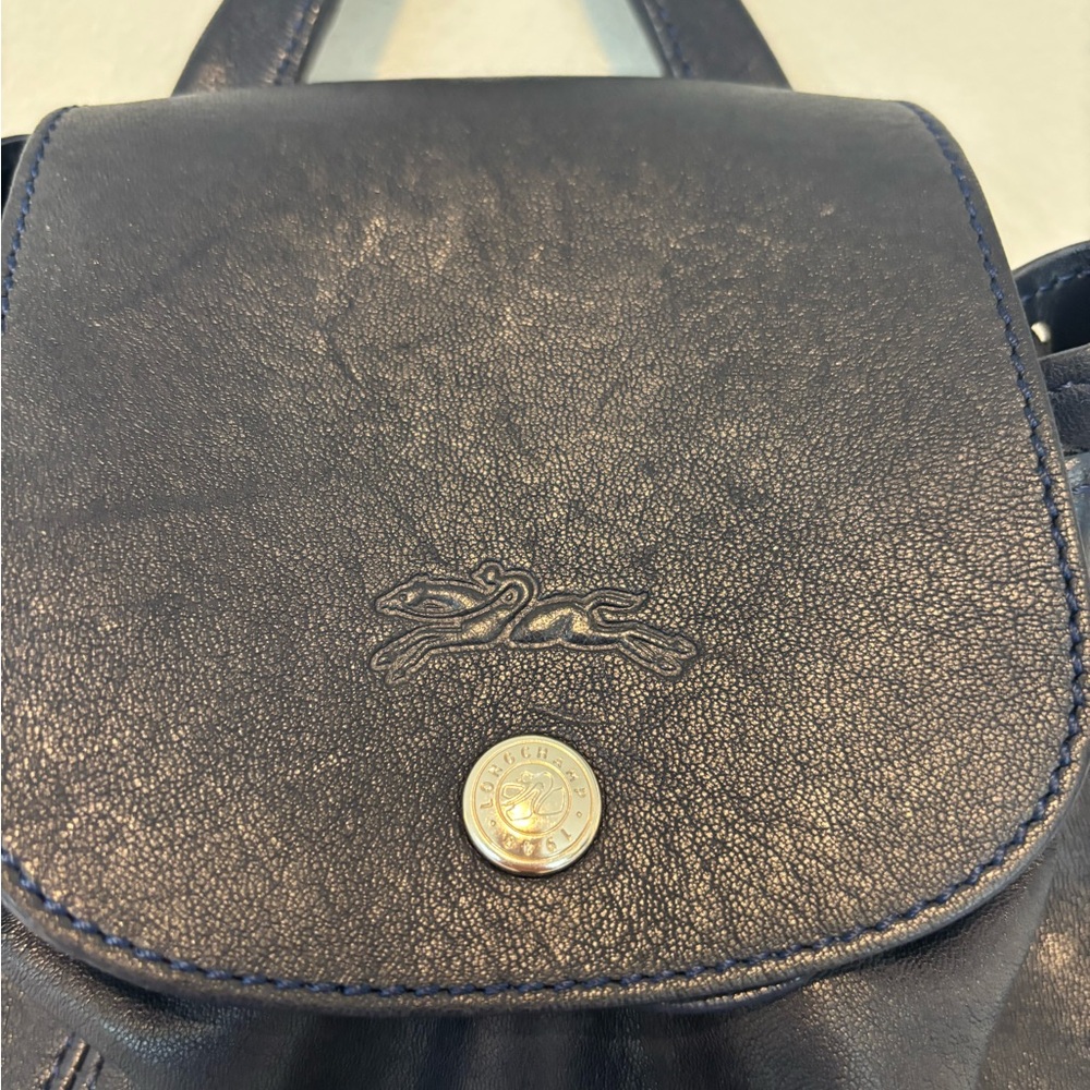 Longchamp Navy Leather Backpack 170 - Picture 3 of 9